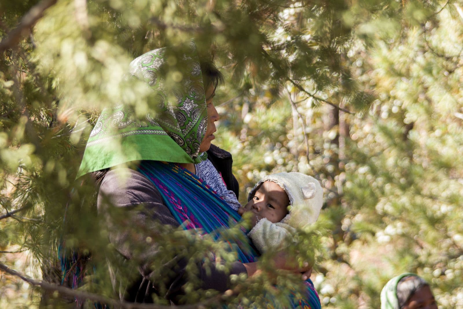 A mother wearing her baby in a woven wrap among pine trees, the baby in a fleece hood with its face clear of the fabric