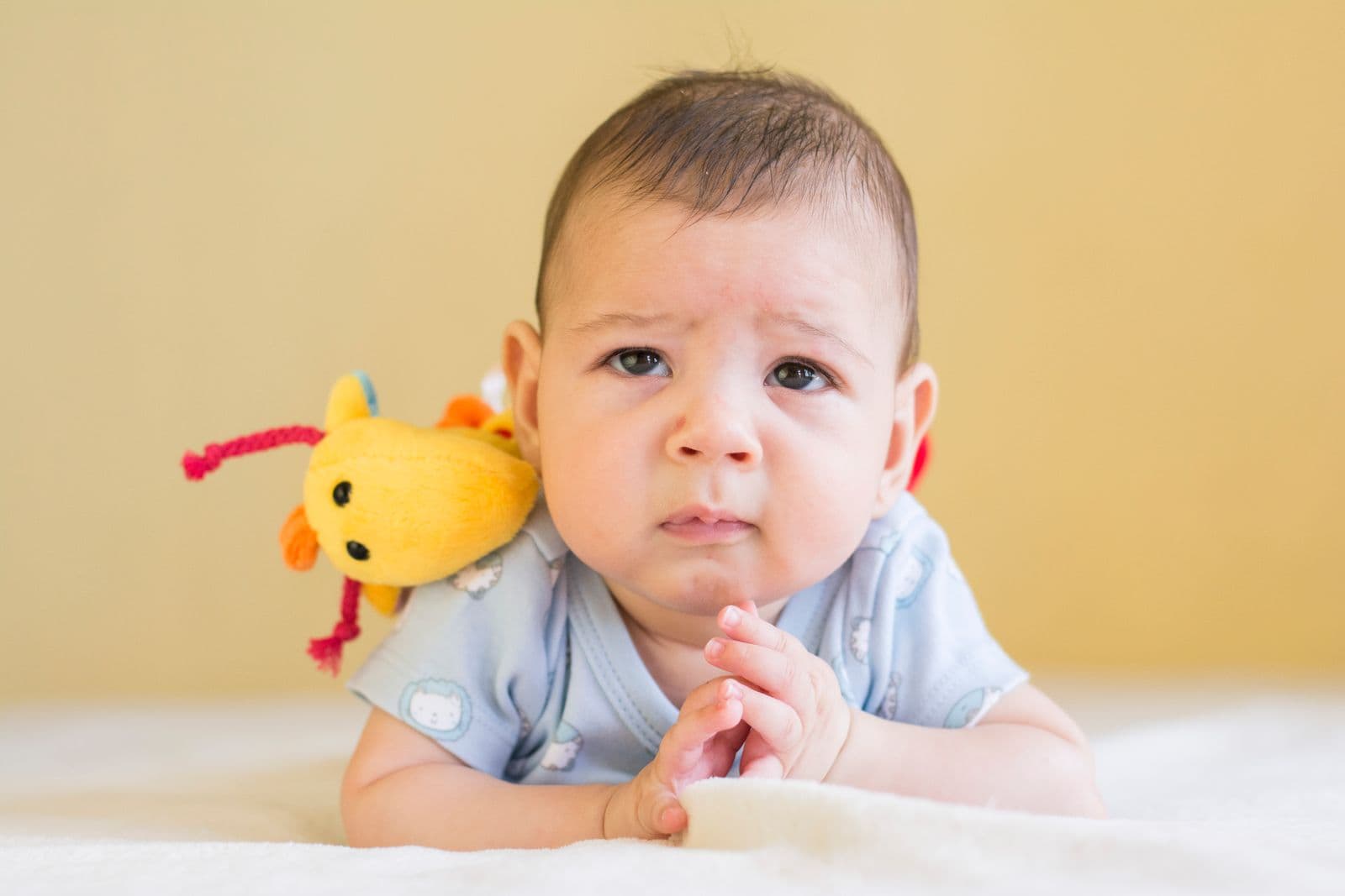 An infant doing tummy time on a blanket, propped on both forearms next to a soft toy