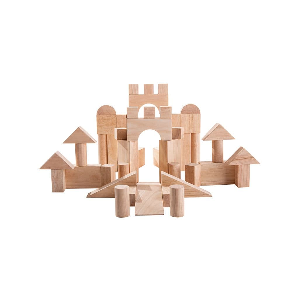 PlanToys 50 Unit Blocks product photo